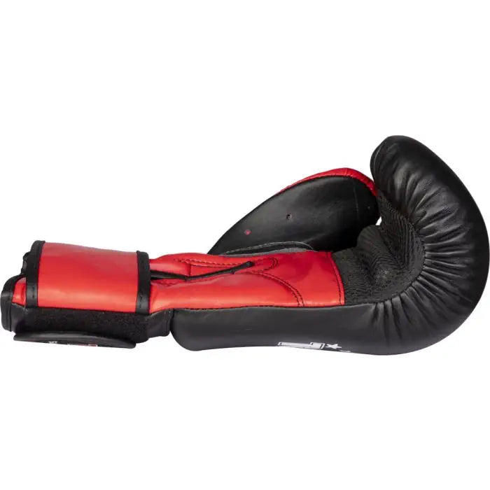 Boxing Gloves “TOP TEN”