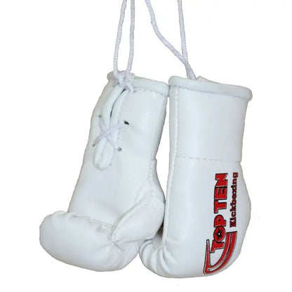 Mini boxing gloves “TOP TEN Kickboxing”